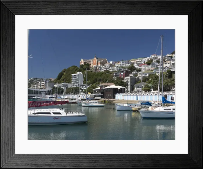 Framed Print : Royal Port Nicholson Yacht Club marina and St. Gerards Monastery, Oriental Bay, Wellington, North Island, New Zealand, Pacific Framed Print : Royal Port Nicholson Yacht Club marina and St. Gerards Monastery, Oriental Bay, Wellington, North Island, New Zealand, Pacific