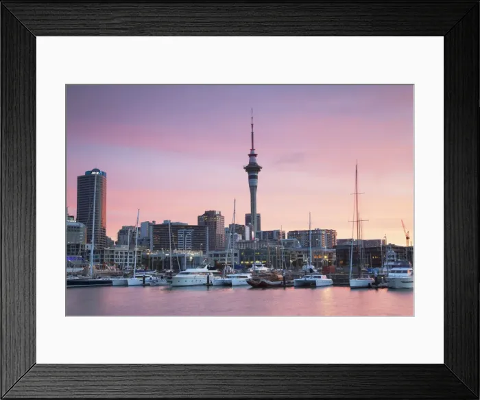 Framed Print : Viaduct Harbour and Sky Tower at sunset, Auckland, North Island, New Zealand, Pacific Framed Print : Viaduct Harbour and Sky Tower at sunset, Auckland, North Island, New Zealand, Pacific