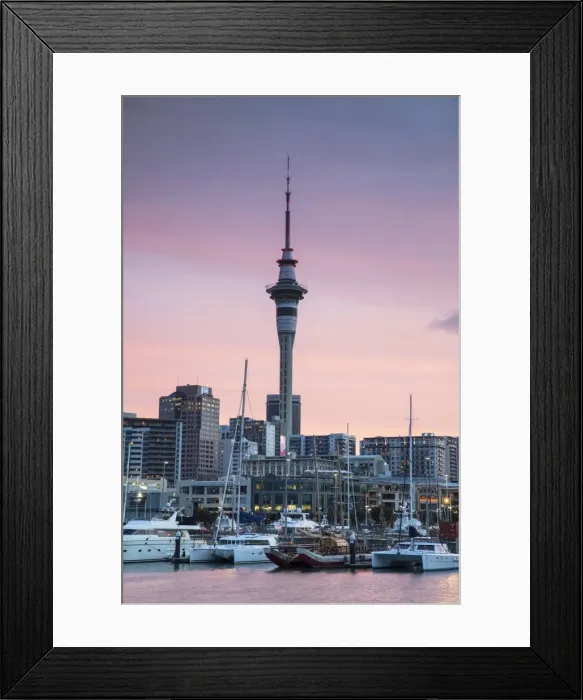 Framed Print : Viaduct Harbour and Sky Tower at sunset, Auckland, North Island, New Zealand, Pacific Framed Print : Viaduct Harbour and Sky Tower at sunset, Auckland, North Island, New Zealand, Pacific
