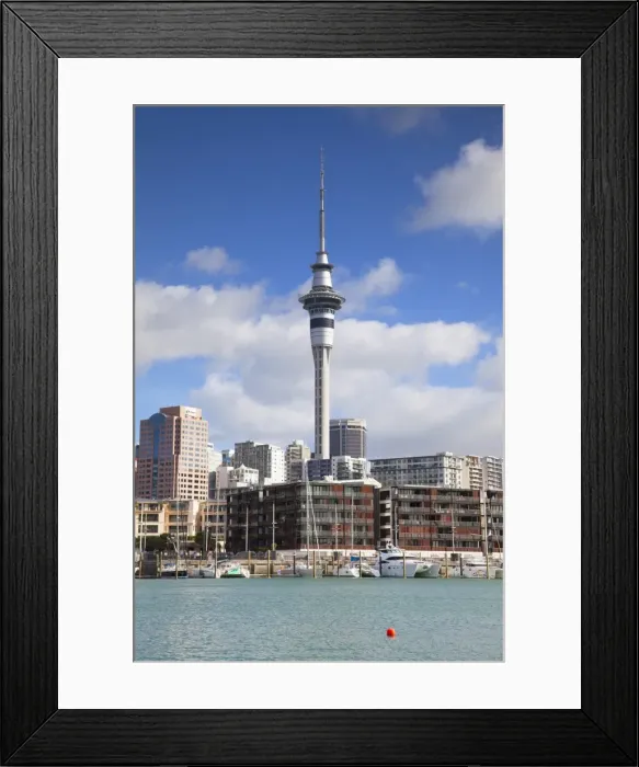 Framed Print : Viaduct Harbour and Sky Tower, Auckland, North Island, New Zealand, Pacific Framed Print : Viaduct Harbour and Sky Tower, Auckland, North Island, New Zealand, Pacific
