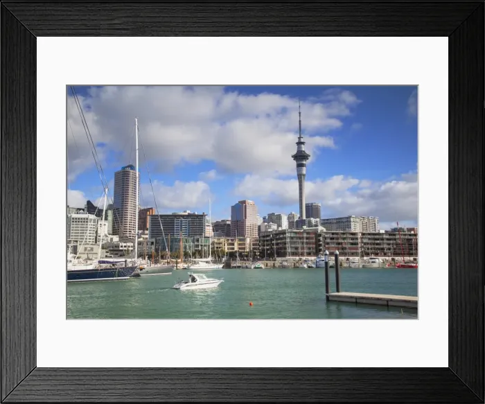 Framed Print : Viaduct Harbour and Sky Tower, Auckland, North Island, New Zealand, Pacific Framed Print : Viaduct Harbour and Sky Tower, Auckland, North Island, New Zealand, Pacific