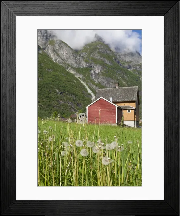Framed Print : House and field with dandelions, backed by mountains, Eidfjord, Hardangerfjord, Norway, Scandinavia, Europe Framed Print : House and field with dandelions, backed by mountains, Eidfjord, Hardangerfjord, Norway, Scandinavia, Europe