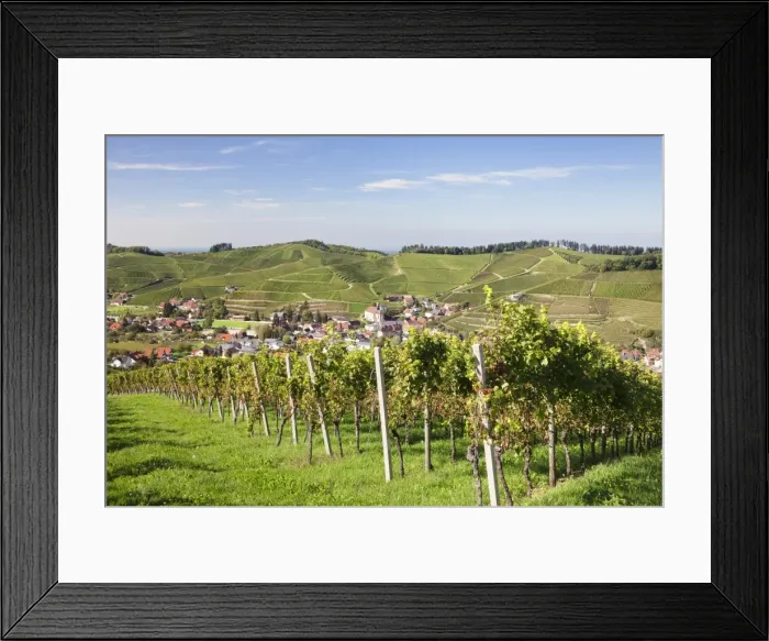 Framed Print : Durbach, Black Forest, Baden Wurttemberg, Germany, Europe Framed Print : Durbach, Black Forest, Baden Wurttemberg, Germany, Europe