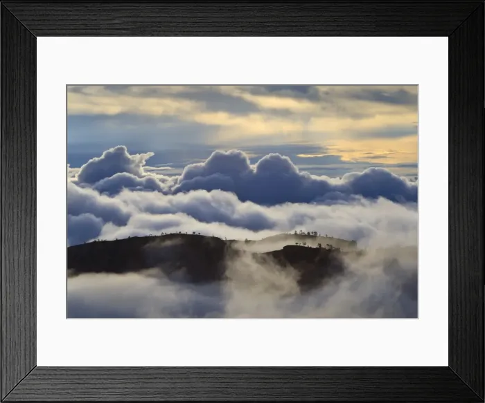Framed Print : Tree studded ridges, fog and clouds of a partial temperature inversion, Bryce Canyon, Bryce Canyon National Park, Utah, United States of America, North America Framed Print : Tree studded ridges, fog and clouds of a partial temperature inversion, Bryce Canyon, Bryce Canyon National Park, Utah, United States of America, North America