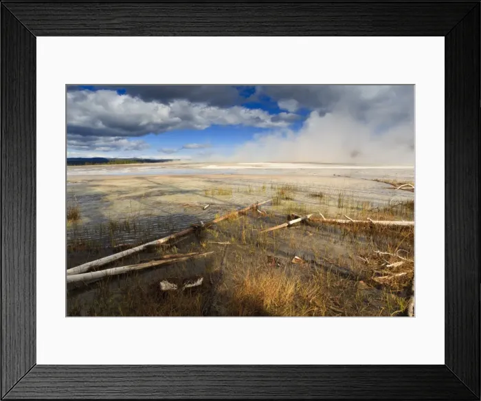 Framed Print : Fallen lodgepole pines, Grand Prismatic Spring, Yellowstone National Park, UNESCO World Heritage Site, Wyoming, United States of America, North America Framed Print : Fallen lodgepole pines, Grand Prismatic Spring, Yellowstone National Park, UNESCO World Heritage Site, Wyoming, United States of America, North America
