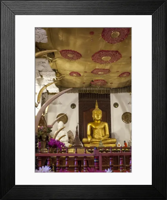 Framed Print : Golden sitting Buddhist statue, Temple of the Sacred Tooth Relic, UNESCO World Heritage Site, Kandy, Sri Lanka, Asia Framed Print : Golden sitting Buddhist statue, Temple of the Sacred Tooth Relic, UNESCO World Heritage Site, Kandy, Sri Lanka, Asia