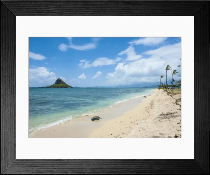 Framed Print : Kualoa Beach, Oahu, Hawaii, United States of America, Pacific Framed Print : Kualoa Beach, Oahu, Hawaii, United States of America, Pacific