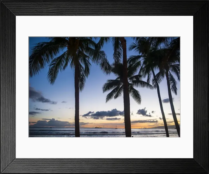 Framed Print : Palm trees on Waikiki Beach, Oahu, Hawaii, United States of America, Pacific Framed Print : Palm trees on Waikiki Beach, Oahu, Hawaii, United States of America, Pacific