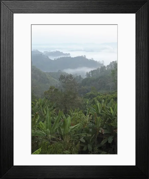 Framed Print : Early morning mist and smoke from brickworks in the valley over the jungle of Bandarban, Chittagong Division, Bangladesh, Asia Framed Print : Early morning mist and smoke from brickworks in the valley over the jungle of Bandarban, Chittagong Division, Bangladesh, Asia