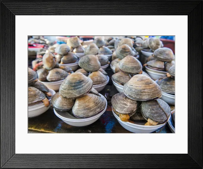 Framed Print : Mussels for sale at the fish market in Busan, South Korea, Asia Framed Print : Mussels for sale at the fish market in Busan, South Korea, Asia