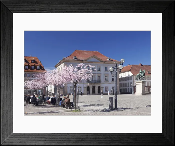 Framed Print : Almond blossom, Market Place and Town Hall, Landau, Deutsche Weinstrasse (German Wine Road), Rhineland-Palatinate, Germany, Europe Framed Print : Almond blossom, Market Place and Town Hall, Landau, Deutsche Weinstrasse (German Wine Road), Rhineland-Palatinate, Germany, Europe