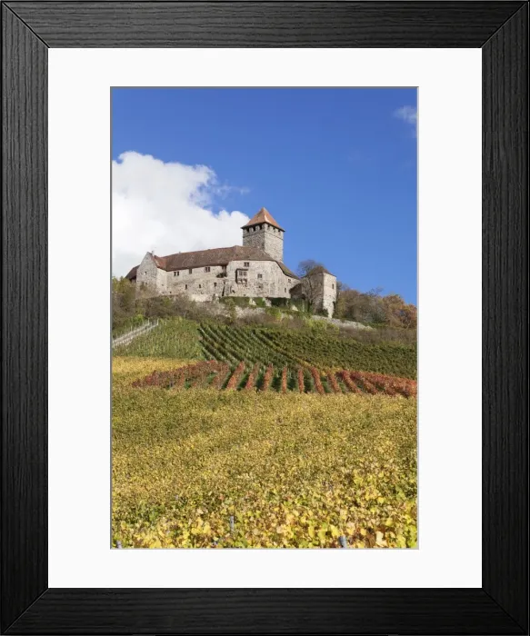 Framed Print : Burg Lichtenberg Castle, Vineyards in autumn, Oberstenfeld, Ludwigsburg District, Baden Wurttemberg, Germany, Europe Framed Print : Burg Lichtenberg Castle, Vineyards in autumn, Oberstenfeld, Ludwigsburg District, Baden Wurttemberg, Germany, Europe
