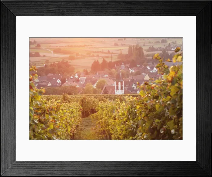 Framed Print : Vineyards at sunset, Ehrenstetten, Staufen im Breisgau, Markgrafler Land, Black Forest, Baden Wurttemberg, Germany, Europe Framed Print : Vineyards at sunset, Ehrenstetten, Staufen im Breisgau, Markgrafler Land, Black Forest, Baden Wurttemberg, Germany, Europe