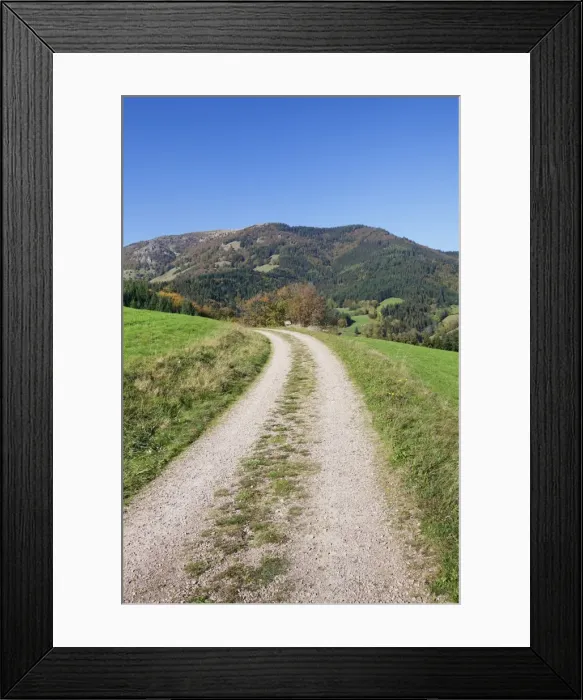 Framed Print : Path leading to Belchen Mountain, Black Forest, Baden Wurttemberg, Germany, Europe Framed Print : Path leading to Belchen Mountain, Black Forest, Baden Wurttemberg, Germany, Europe