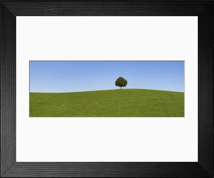 Framed Print : Single tree on a hill, Allgau, Swabia, Baden Wurttemberg, Germany, Europe Framed Print : Single tree on a hill, Allgau, Swabia, Baden Wurttemberg, Germany, Europe