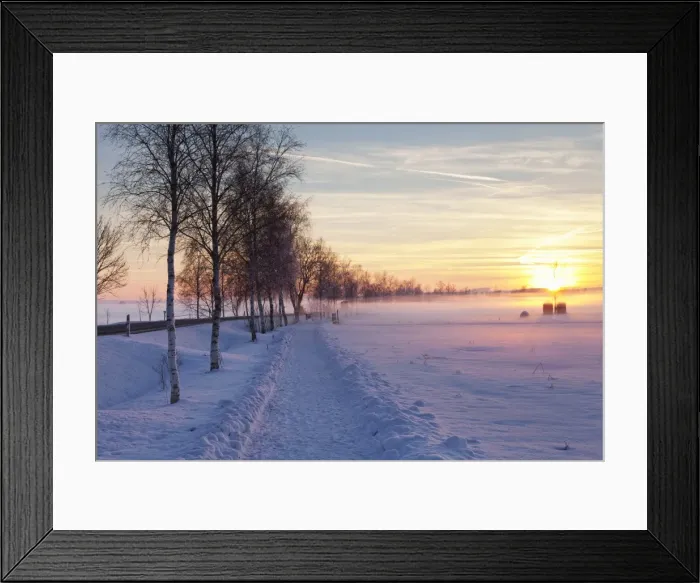 Framed Print : Federsee Nature Reserve at sunset in winter, Bad Buchau, Upper Swabia, Baden Wurttemberg, Germany, Europe Framed Print : Federsee Nature Reserve at sunset in winter, Bad Buchau, Upper Swabia, Baden Wurttemberg, Germany, Europe