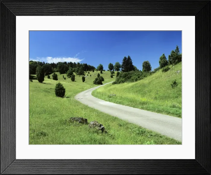 Framed Print : Juniper, Nature Reserve Zwing, Neresheim, Swabian Alb, Baden Wurttemberg, Germany, Europe Framed Print : Juniper, Nature Reserve Zwing, Neresheim, Swabian Alb, Baden Wurttemberg, Germany, Europe