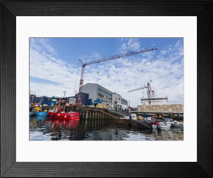 Framed Print : Commercial fishing and whaling boats line the busy inner harbor in the town of Ilulissat, Greenland, Polar Regions Framed Print : Commercial fishing and whaling boats line the busy inner harbor in the town of Ilulissat, Greenland, Polar Regions
