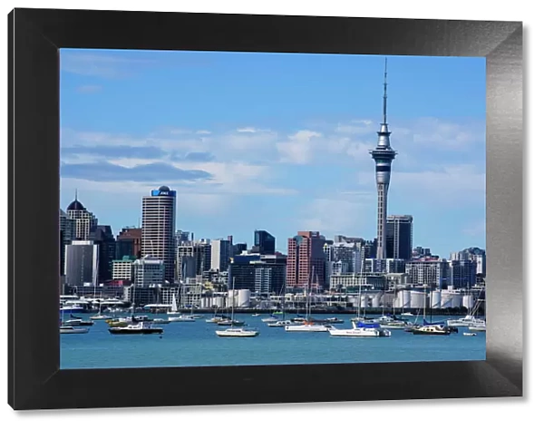 Skyline of Auckland, North Island, New Zealand, Pacific