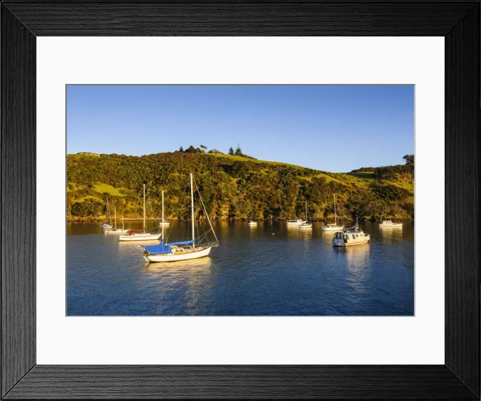 Framed Print : Little sailing boats in Matiata Bay on Waiheke Island, Hauraki Gulf, North Island, New Zealand, Pacific Framed Print : Little sailing boats in Matiata Bay on Waiheke Island, Hauraki Gulf, North Island, New Zealand, Pacific