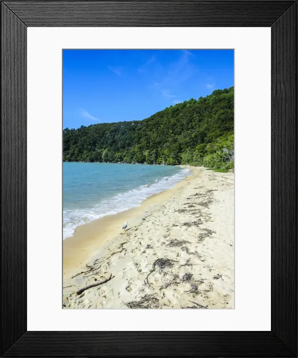Framed Print : Long sandy beach, Abel Tasman National Park, South Island, New Zealand, Pacific Framed Print : Long sandy beach, Abel Tasman National Park, South Island, New Zealand, Pacific