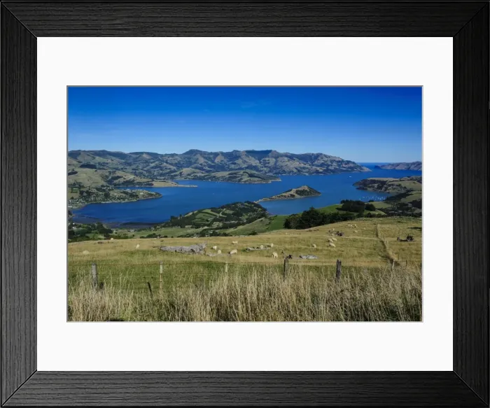 Framed Print : Beautiful scenery around Akaroa harbour, Banks Peninsula, Canterbury, South Island, New Zealand, Pacific Framed Print : Beautiful scenery around Akaroa harbour, Banks Peninsula, Canterbury, South Island, New Zealand, Pacific