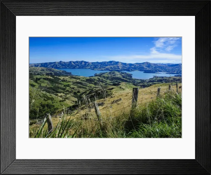 Framed Print : Beautiful scenery around Akaroa harbour, Banks Peninsula, Canterbury, South Island, New Zealand, Pacific Framed Print : Beautiful scenery around Akaroa harbour, Banks Peninsula, Canterbury, South Island, New Zealand, Pacific
