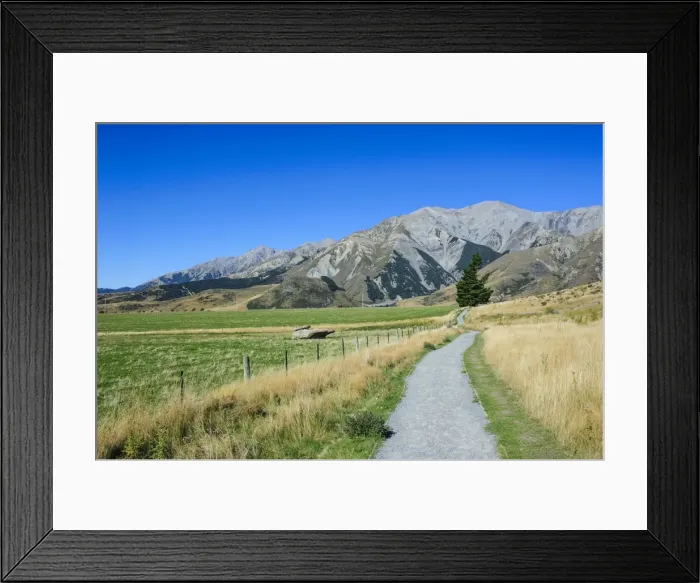 Framed Print : Footpath leading to Craigieburn Forest Park from Castle Hill, Canterbury, South Island, New Zealand, Pacific Framed Print : Footpath leading to Craigieburn Forest Park from Castle Hill, Canterbury, South Island, New Zealand, Pacific
