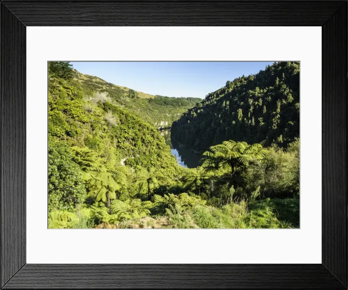 Framed Print : View over the Whanganui River in the lush green countryside, Whanganui River road, North Island, New Zealand, Pacific Framed Print : View over the Whanganui River in the lush green countryside, Whanganui River road, North Island, New Zealand, Pacific
