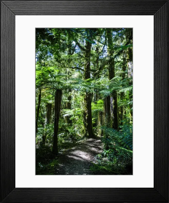 Framed Print : Oparara Basin, Karamea, West Coast, South Island, New Zealand, Pacific Framed Print : Oparara Basin, Karamea, West Coast, South Island, New Zealand, Pacific