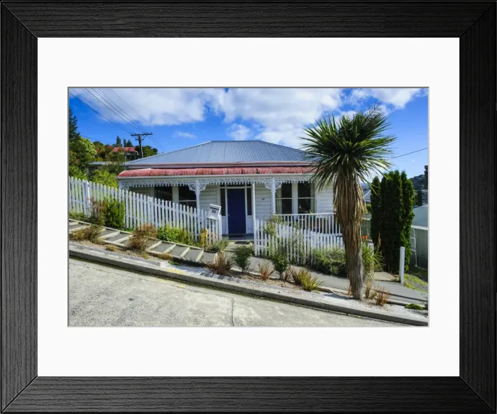 Framed Print : Baldwin Street, the worlds steepest residential street, Dunedin, Otago, South Island, New Zealand, Pacific Framed Print : Baldwin Street, the worlds steepest residential street, Dunedin, Otago, South Island, New Zealand, Pacific