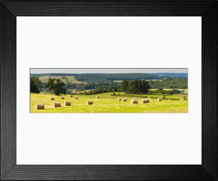 Framed Print : Hay bale landscape in Northumberland National Park, near Hexham, Northumberland, England, United Kingdom, Europe Framed Print : Hay bale landscape in Northumberland National Park, near Hexham, Northumberland, England, United Kingdom, Europe