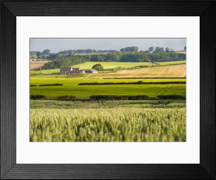 Framed Print : Farm house in Northumberland National Park, near Hexham, Northumberland, England, United Kingdom, Europe Framed Print : Farm house in Northumberland National Park, near Hexham, Northumberland, England, United Kingdom, Europe