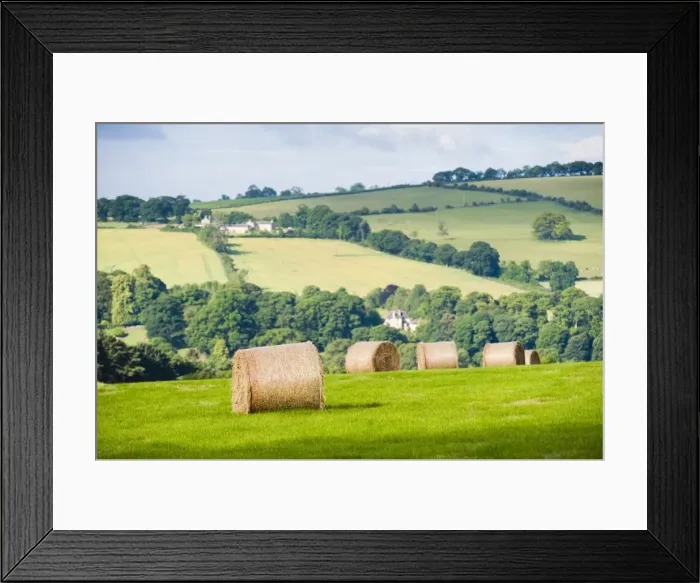Framed Print : Hay bale landscape, Northumberland National Park, near Hexham, Northumberland, England, United Kingdom, Europe Framed Print : Hay bale landscape, Northumberland National Park, near Hexham, Northumberland, England, United Kingdom, Europe
