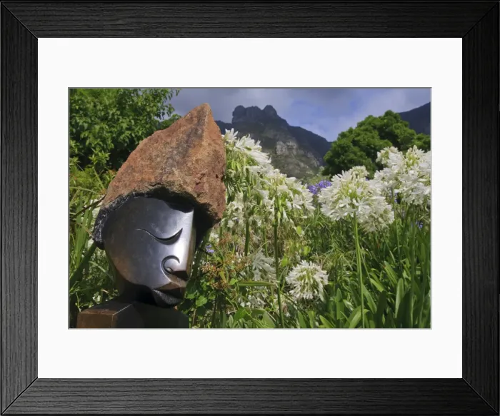 Framed Print : Statue with agapanthus and Table Mountain behind, Kirstenbosch National Botanical Garden, Cape Town, South Africa, Africa Framed Print : Statue with agapanthus and Table Mountain behind, Kirstenbosch National Botanical Garden, Cape Town, South Africa, Africa