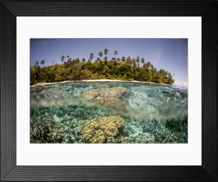 Framed Print : Partially submerged view of shoreline with palm trees, Solomon Islands, Pacific Framed Print : Partially submerged view of shoreline with palm trees, Solomon Islands, Pacific