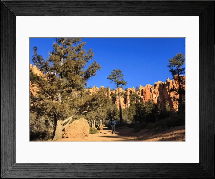 Framed Print : Hiker on Navajo Loop Trail with hoodoos and pine trees lit by early morning sun in winter, Bryce Canyon National Park, Utah, United States of America, North America Framed Print : Hiker on Navajo Loop Trail with hoodoos and pine trees lit by early morning sun in winter, Bryce Canyon National Park, Utah, United States of America, North America