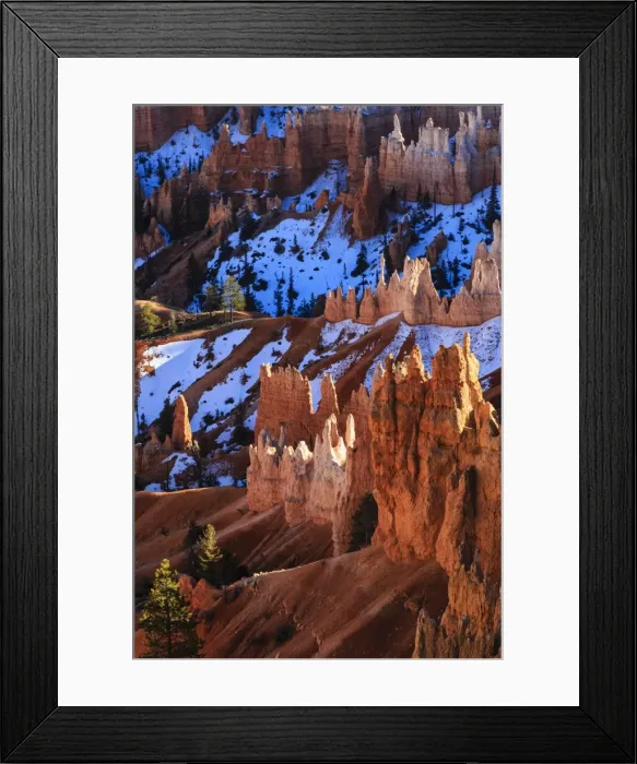 Framed Print : Hoodoos, pine trees and snow lit by strong late afternoon sun in winter, near Sunrise Point, Bryce Canyon National Park, Utah, United States of America, North America Framed Print : Hoodoos, pine trees and snow lit by strong late afternoon sun in winter, near Sunrise Point, Bryce Canyon National Park, Utah, United States of America, North America
