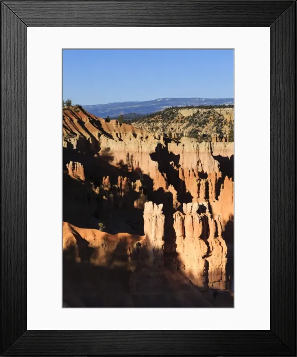Framed Print : Hoodoos and lone pine tree on a ridge lit by late afternoon sun, view to Sunrise Point, Bryce Canyon National Park, Utah, United States of America, North America