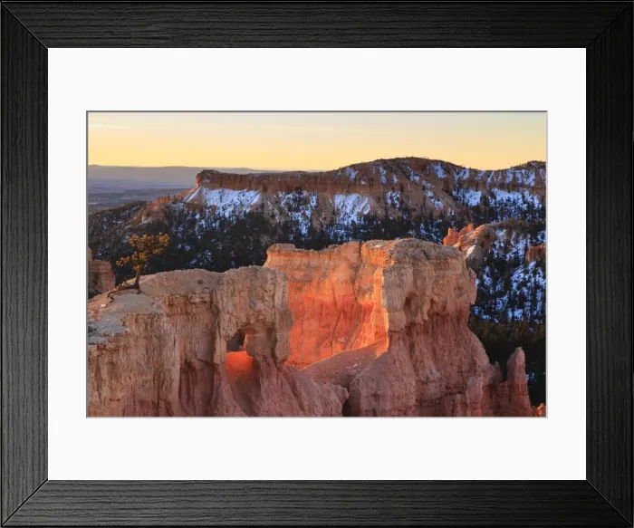 Framed Print : Rocks and lone pine tree lit by dawn light in winter, Queens Garden Trail, Sunrise Point, Bryce Canyon National Park, Utah, United States of America, North America Framed Print : Rocks and lone pine tree lit by dawn light in winter, Queens Garden Trail, Sunrise Point, Bryce Canyon National Park, Utah, United States of America, North America