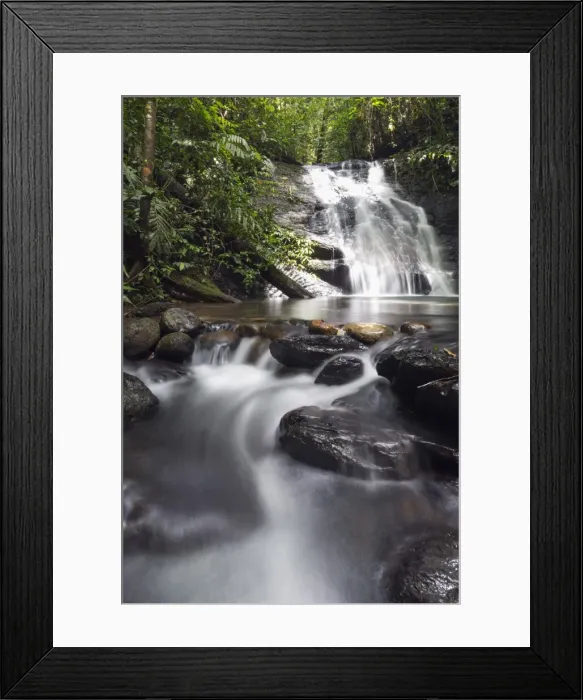 Framed Print : Ula Temburong National Park, Brunei, Borneo, Southeast Asia, Asia Framed Print : Ula Temburong National Park, Brunei, Borneo, Southeast Asia, Asia