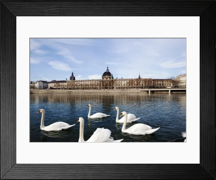 Framed Print : Hotel the Dieu on the Rhone River, Lyon, Rhone-Alpes, France, Europe Framed Print : Hotel the Dieu on the Rhone River, Lyon, Rhone-Alpes, France, Europe