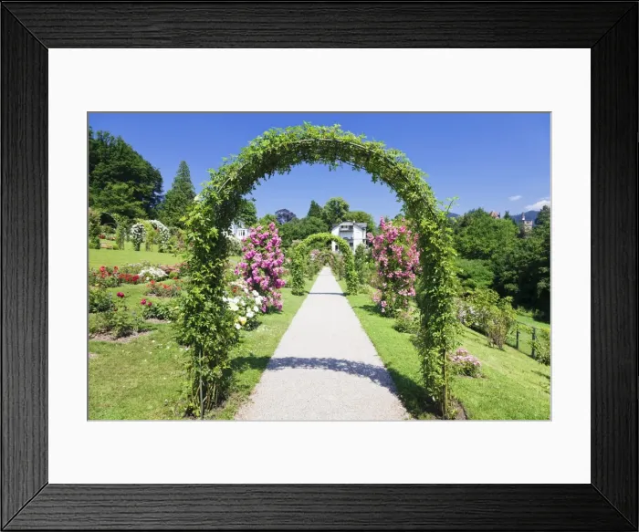 Framed Print : Rose arches, Rose Garden Beutig, Baden-Baden, Black Forest, Baden Wurttemberg, Germany, Europe Framed Print : Rose arches, Rose Garden Beutig, Baden-Baden, Black Forest, Baden Wurttemberg, Germany, Europe