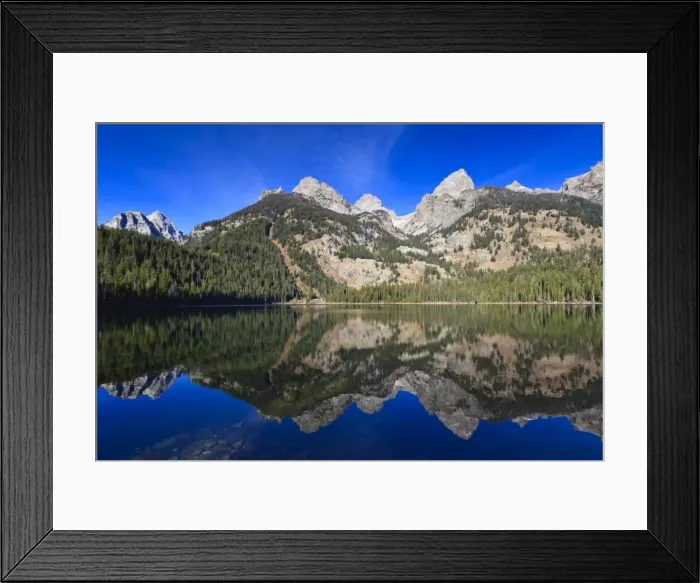Framed Print : Reflection of the Teton range, Bradley Lake, Grand Teton National Park, Wyoming, United States of America, North America Framed Print : Reflection of the Teton range, Bradley Lake, Grand Teton National Park, Wyoming, United States of America, North America