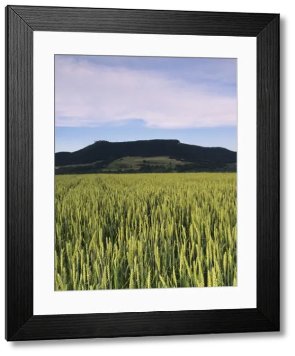 Framed Print : Corn field, Teckberg Mountain, Teck Castle, Kirchheim, Swabian Alb, Baden Wurttemberg, Germany, Europe
