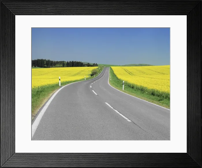 Framed Print : Road through rape fields in spring, Swabian Alb, Baden Wurttemberg, Germany, Europe Framed Print : Road through rape fields in spring, Swabian Alb, Baden Wurttemberg, Germany, Europe
