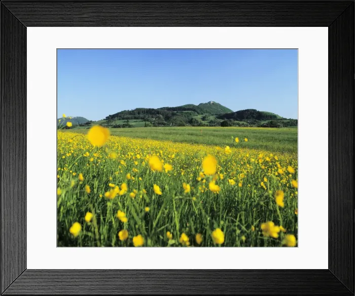Framed Print : View from a flower meadow to Teckberg Mountain with Teck Castle, Kirchheim, Swabian Alb, Baden Wurttemberg, Germany, Europe Framed Print : View from a flower meadow to Teckberg Mountain with Teck Castle, Kirchheim, Swabian Alb, Baden Wurttemberg, Germany, Europe