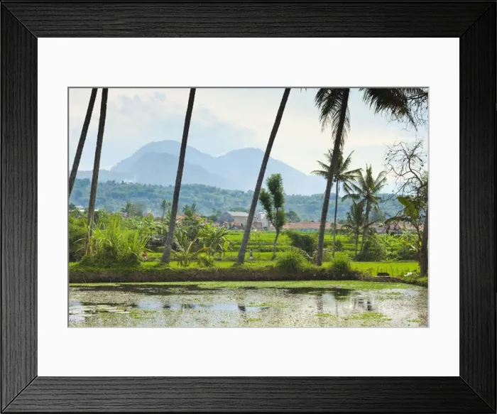Framed Print : Volcanic cones, palm trees and lake in rural area near Kampung Pulo, Kecamatan Leles, Garut, West Java, Java, Indonesia, Southeast Asia, Asia Framed Print : Volcanic cones, palm trees and lake in rural area near Kampung Pulo, Kecamatan Leles, Garut, West Java, Java, Indonesia, Southeast Asia, Asia