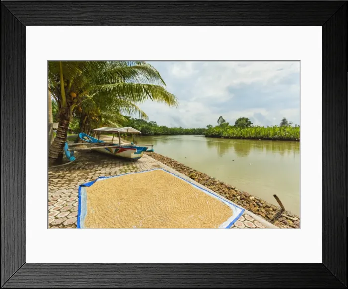 Framed Print : Rice drying by the Cijulang river in south coast district near Pangandara, Cijulang, West Java, Java, Indonesia, Southeast Asia, Asia Framed Print : Rice drying by the Cijulang river in south coast district near Pangandara, Cijulang, West Java, Java, Indonesia, Southeast Asia, Asia
