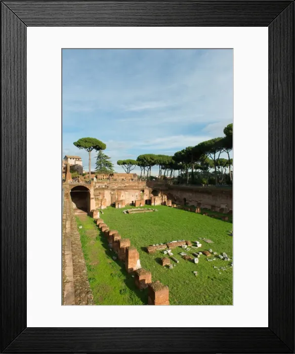 Framed Print : Imperial palace at Forum Romanum, Palatine Hill, Rome, Lazio, Italy, Europe Framed Print : Imperial palace at Forum Romanum, Palatine Hill, Rome, Lazio, Italy, Europe